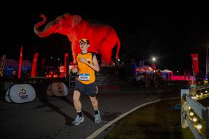 BIB: 
                            <button type="button" onclick="openModal(26551979)" class="btn btn-primary btn-sm float-right btn-popup" data-toggle="modal" data-target=".modal-high-quality">
                        <i class="fas fa-shopping-cart"></i> Add to Cart
                    </button>
                                            <button type="button" onclick="isThisMe(26551979, true)" class="btn btn-success btn-sm float-right btn-popup btn-isme hidden" data-toggle="tooltip" data-placement="bottom" title="นี่คือรูปของคุณใช่ไหม คลิกที่นี่เพื่อเอาเข้าอัลบั้ม">
                        <i class="fas fa-plus"></i> Add to album
                    </button>
                    <button type="button" onclick="isThisMe(26551979, false)" class="btn btn-warning btn-sm float-right btn-popup btn-isnotme hidden">
                        <i class="fas fa-ban"></i> Remove from album
                    </button>